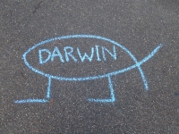 Darwinfisch 2019