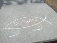 Darwinfisch 2020