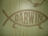 Darwin-Tag