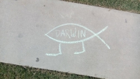 Darwinfisch 2015
